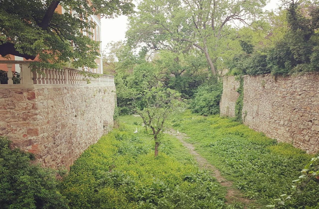 Ferienwohnung Schloss Schrattenthal Экстерьер фото