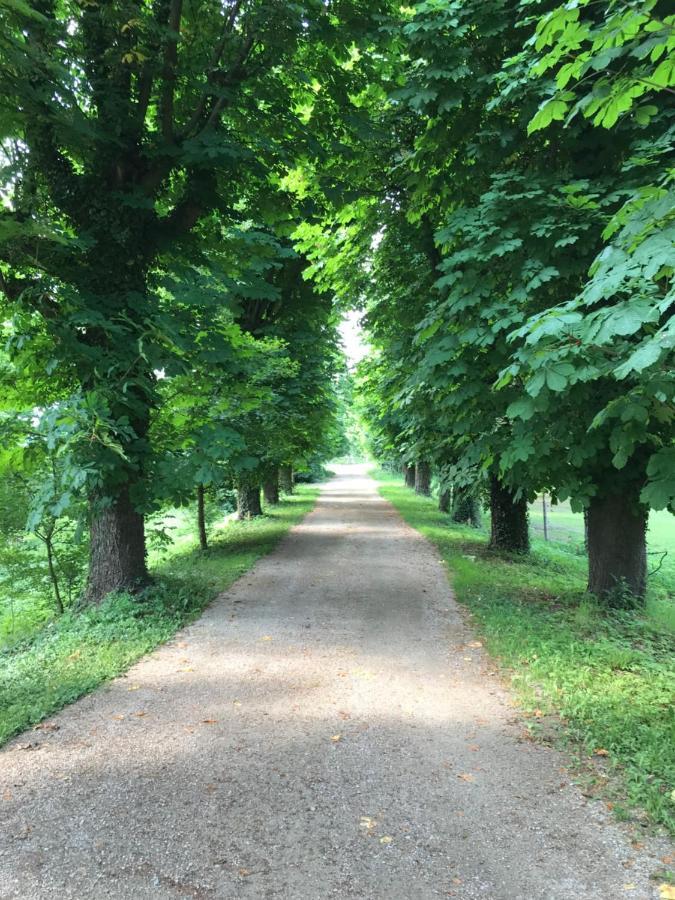 Ferienwohnung Schloss Schrattenthal Экстерьер фото