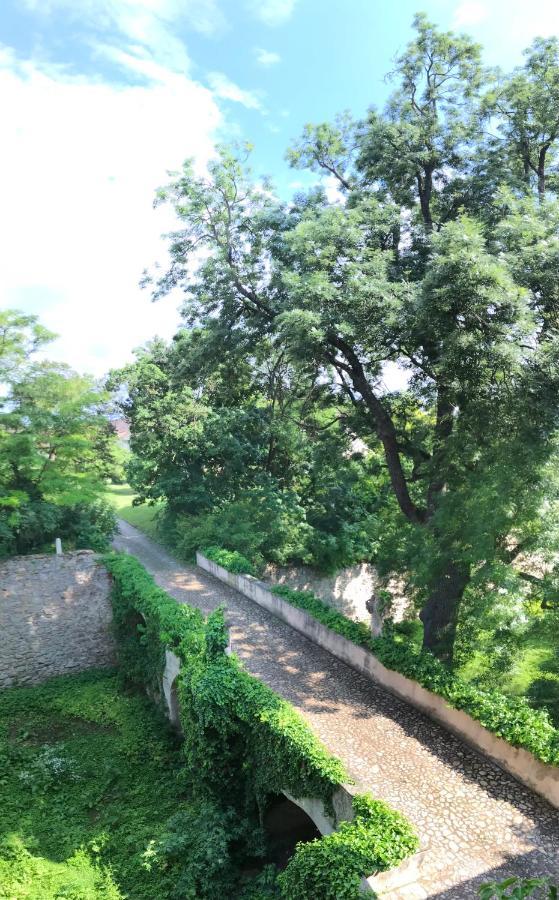 Ferienwohnung Schloss Schrattenthal Экстерьер фото